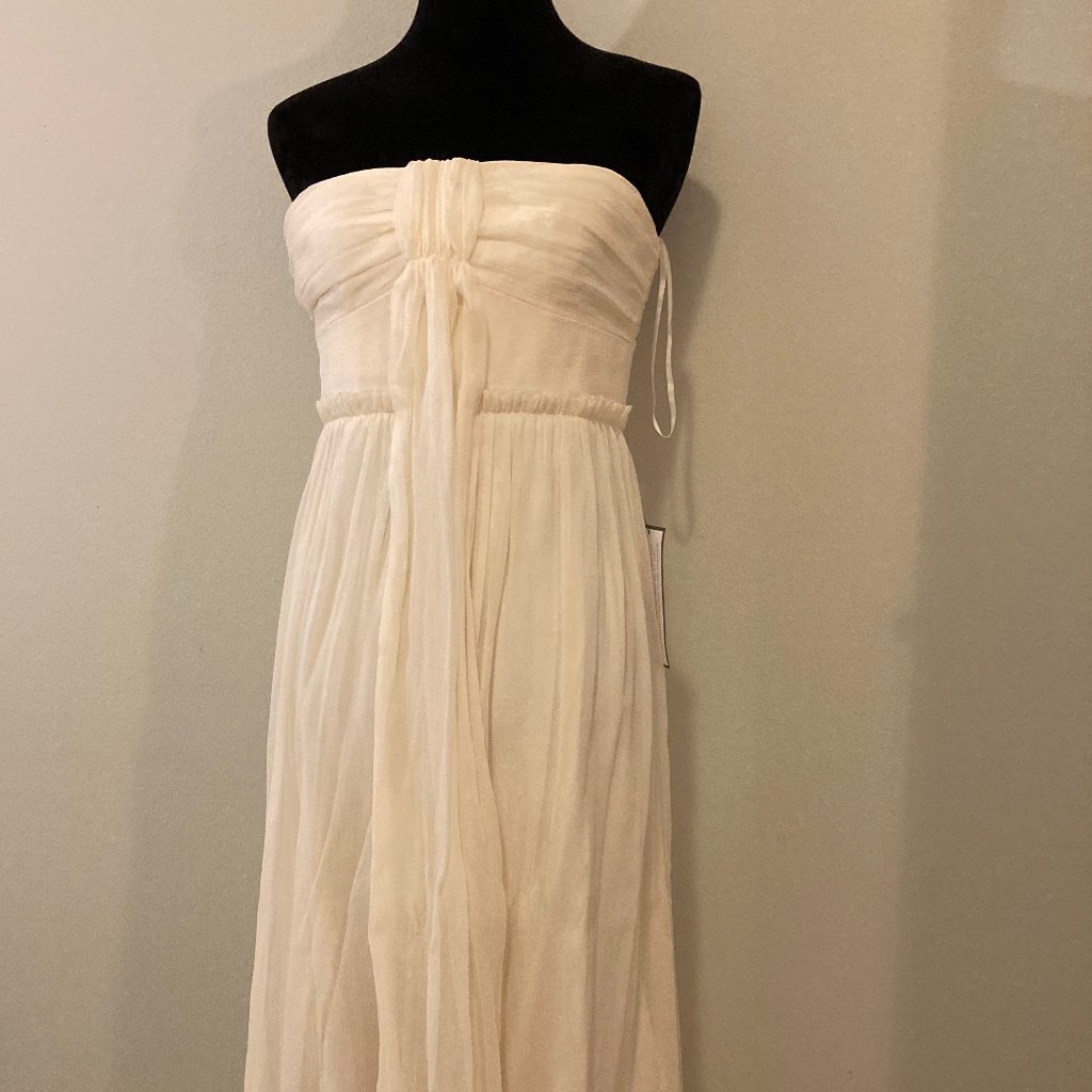J. Crew Sheer Strapless Silk Dress